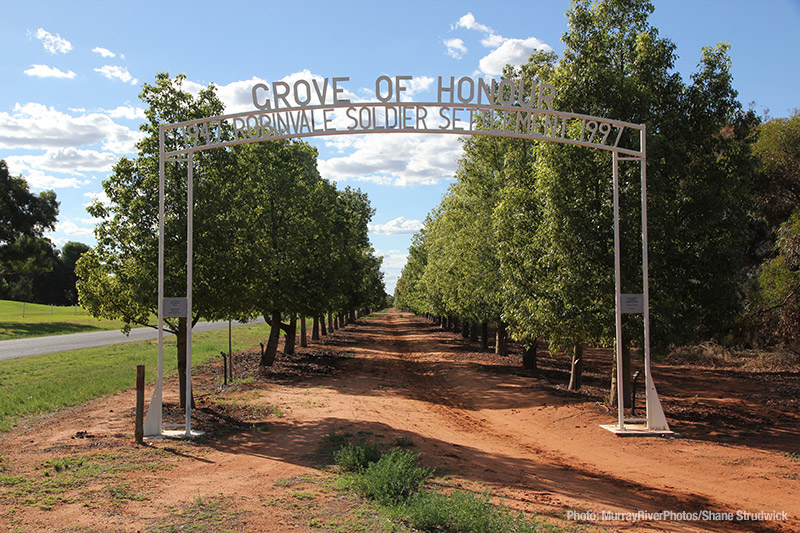 Robinvale Grove of Honour