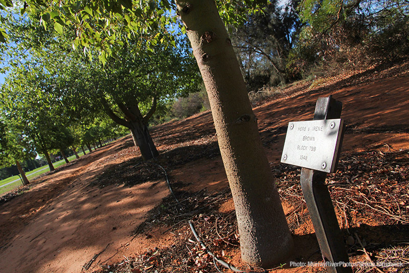 Robinvale Grove of Honour